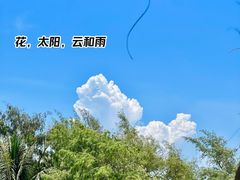 -海南铜鼓岭景区