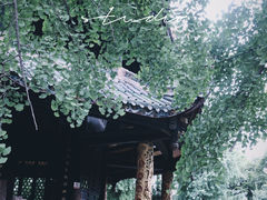 -青羊宫