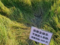 -低涌(地铁站)