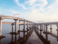 -星海湾跨海大桥