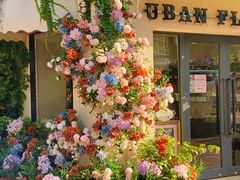 -常熟路(地铁站)