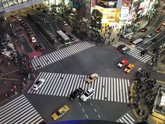 -涩谷区