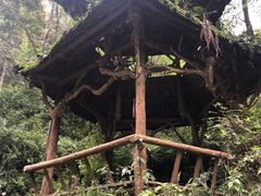 -青城山