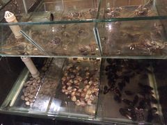 -富力万达嘉华酒店-美食汇西餐厅
