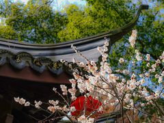 -上海醉白池公园
