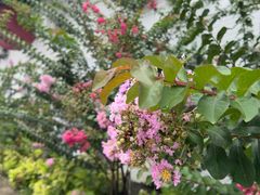 -叁拾壹克饺子·东北菜(国贸店)