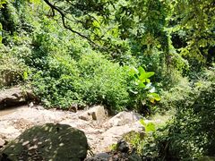 -火炉山森林公园