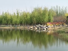 -大兴滨河森林公园