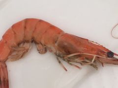 -贵州黄牛肉(西溪湿地店)