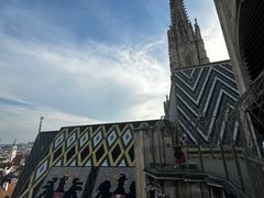 -斯蒂芬主教座堂(Stephansdom)