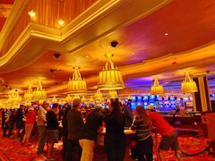 -拉斯维加斯永利酒店