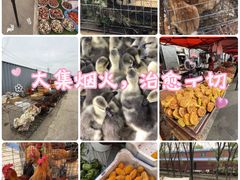 -蒲河大集