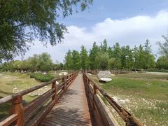 -汉长安城未央宫国家考古遗址公园