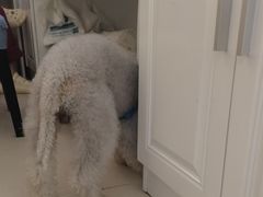 -美联众合24小时·皮肤科·外科·全科诊疗中心(华苑分院)