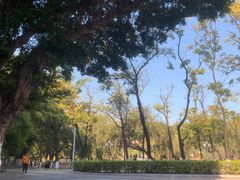 -星海公园(番禺区)