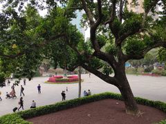 -广州中山纪念堂