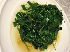 -阿英煲(凉城路店)