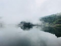 -庐山风景区花径公园