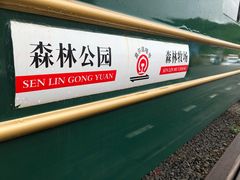-莫尔道嘎国家森林公园