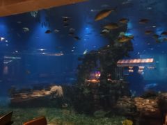 -海棠湾洲际-涛·海底餐厅·美人鱼·自助餐·海底隧道