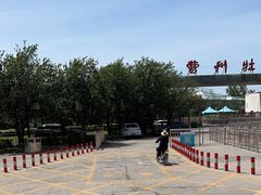 -曹州牡丹园