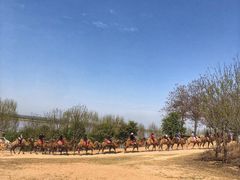 -古柏渡飞黄旅游区