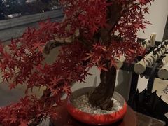 -麦舍MaiMassage(张杨路店)