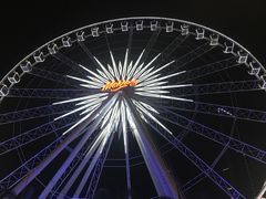 -The Dishes Seafood & Restaurant