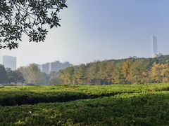 -白塘生态植物园