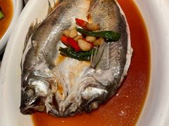 -绿茶餐厅(崇文门新世界店)