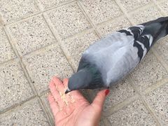 -加泰罗尼亚广场