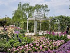 -石家庄市植物园