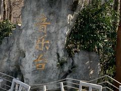 -音乐台