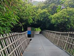 -福道
