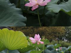 -苏州上方山国家森林公园