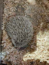 -酷嗒动物文化乐园(cutezoo西溪乐天城店)