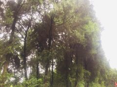 -金堂县云顶石城风景区