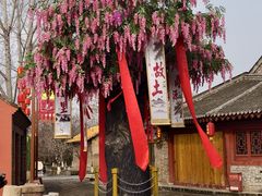 -大槐树寻根祭祖园