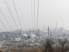 -白水寺森林公园