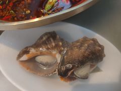 -半岛听涛蒸汽海鲜自助(K11店)
