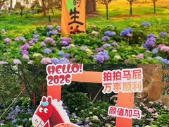 -天适樱花悠乐园