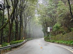 -铁山坪森林公园