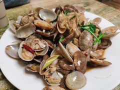 辣炒蛤蜊-人和啤酒屋海鲜大排档(营口路店)