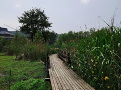 -长兴太湖图影湿地文化园