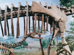 -延庆地质公园博物馆