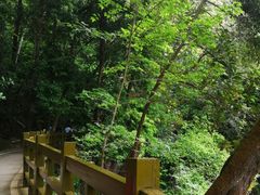 -广州市流溪河国家森林公园