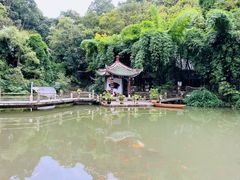 -黔灵山公园