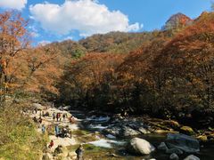 -光雾山旅游景区