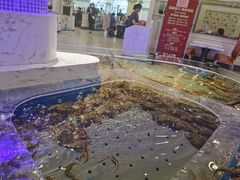 -澜悦港海鲜体验主题餐厅