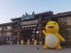 -南宫五洲植物乐园